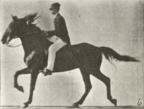 Plate 618 'Middleton' cantering, saddled — figure reference